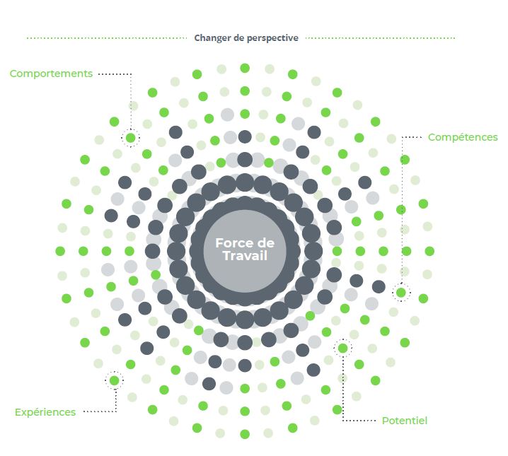 La Transformation du Talent Management La Transformation du Talent Management